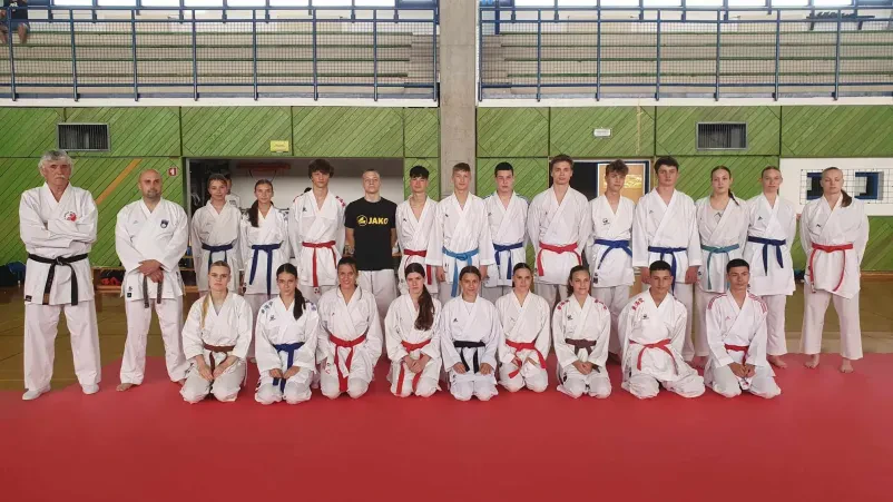 Karate tekmovanja