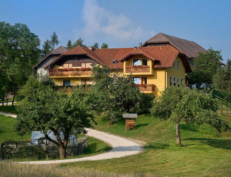 Turistična kmetija, apartmaji in sobe Logarska dolina