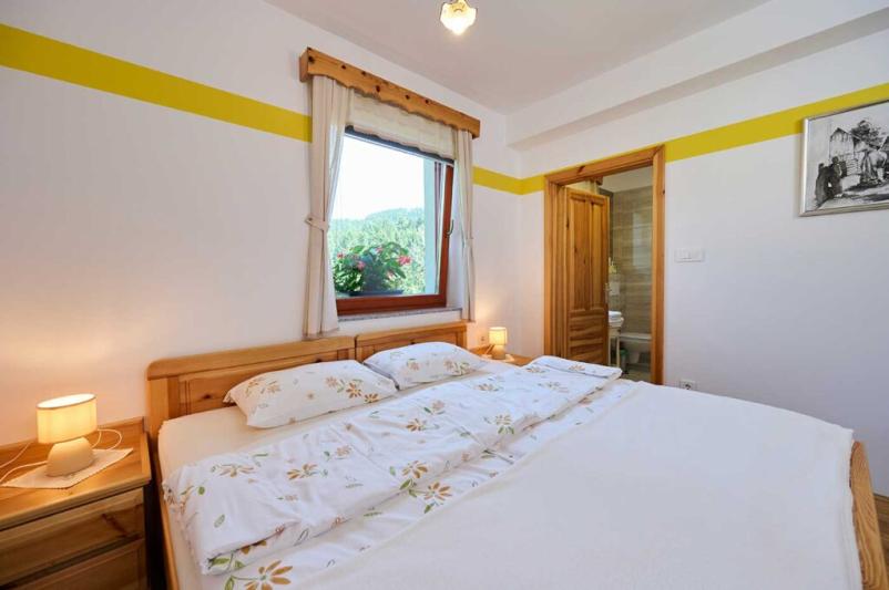 Udobne nastanitve v osrčju narave Logarska dolina