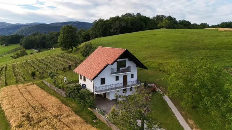 Turistična kmetija z apartmaji Posavje