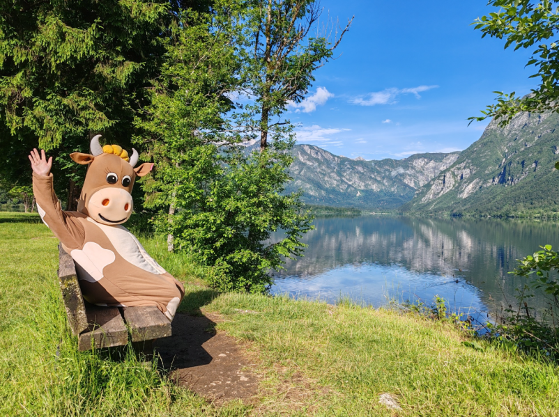 Turistične prireditve Bohinj, Gorenjska