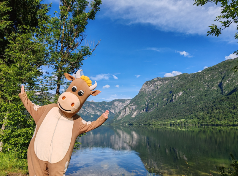 Prireditve za turiste v Bohinju