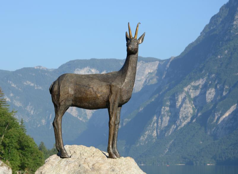 Vodenje po Bohinju