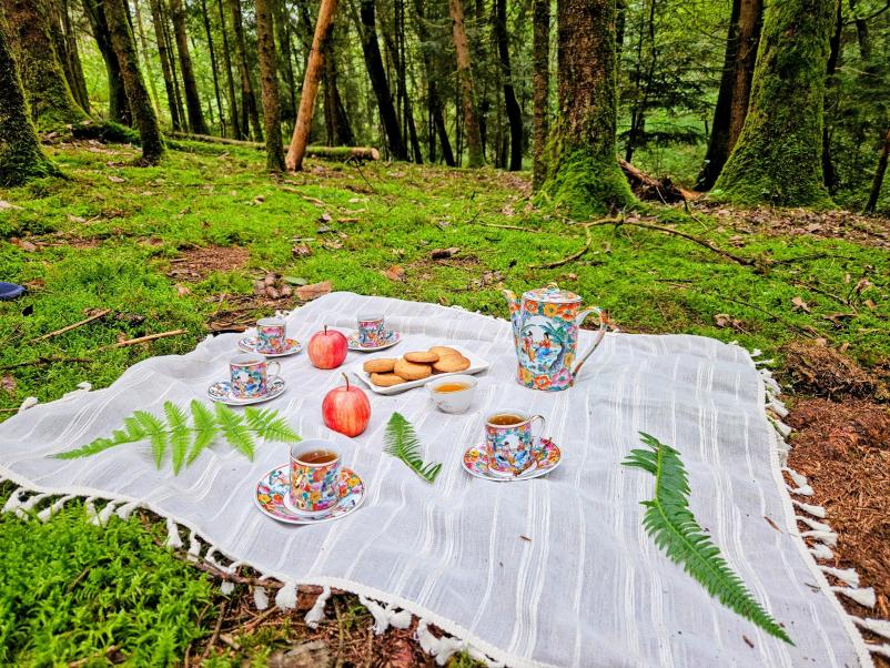 Gozdna terapija za sprostitev Osrednja Slovenija