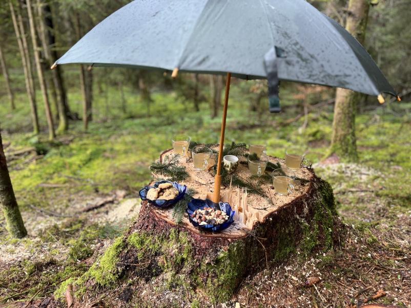 Reiki in meditacija Osrednja Slovenija