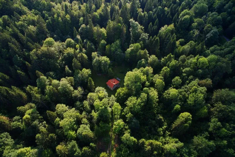 Ugoden najem koče Kočevje