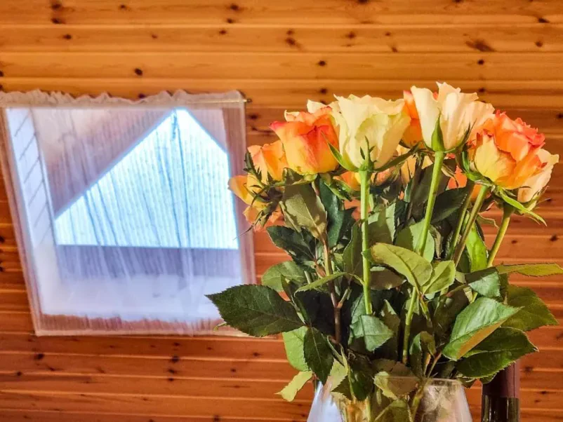 Poceni apartmaji Bovec