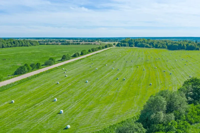 Večja površina pokošene trave z balami od daleč