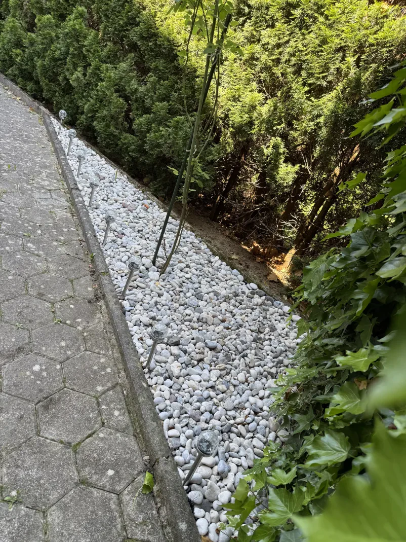 Zasaditve in obrezovanje dreves Savinjska, Slovenija
