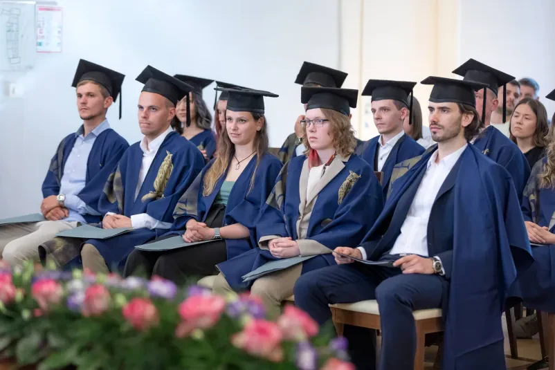 Študij cena na letnik