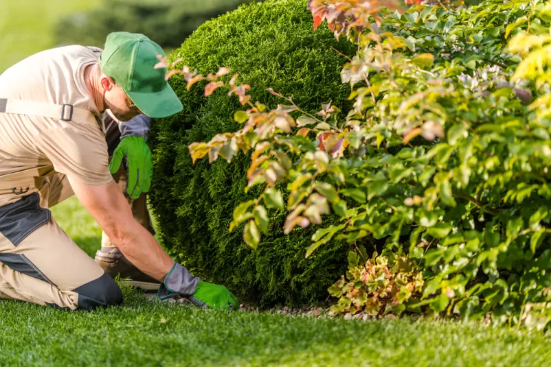 Urejanje zelenih površin Gorenjska