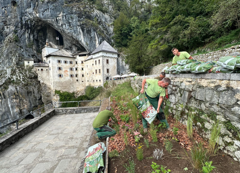 Načrtovanje unikatih vrtov Goriška