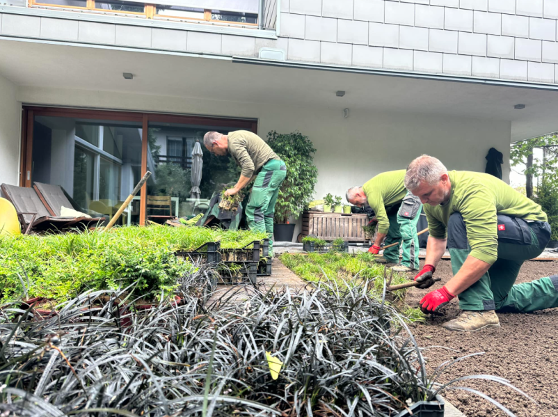 Urejanje vrtov Goriška