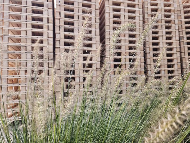 Produzione di pallet Cerkno