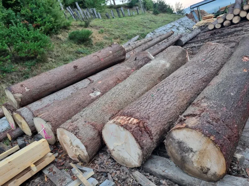 Ankauf von Eichenstämmen in Slowenien