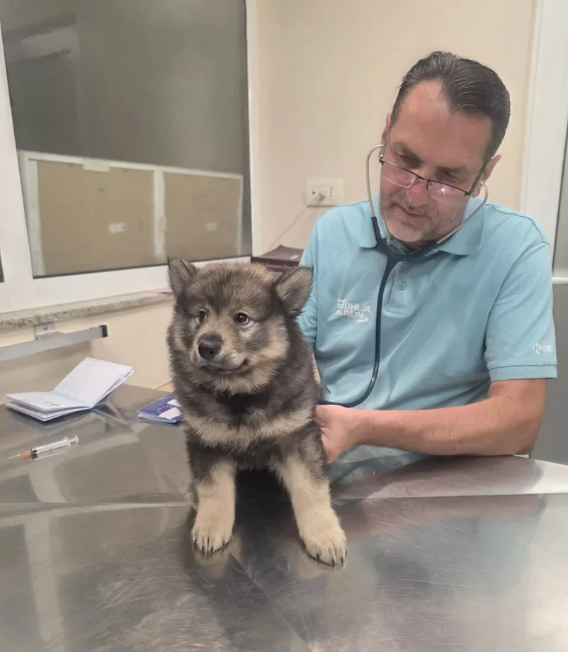 Veterinarska oskrba in trgovina Novo mesto