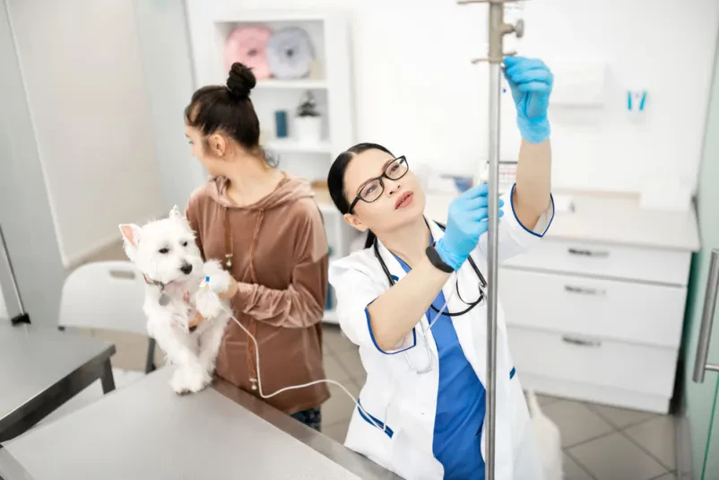 Veterinar Ljubljana