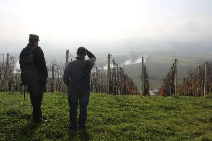 Povezovanje vinogradnikov Podbočje, Krško