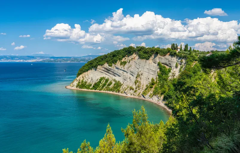 Zakaj je profesionalno vodenje turističnih tur po Sloveniji boljše doživetje?