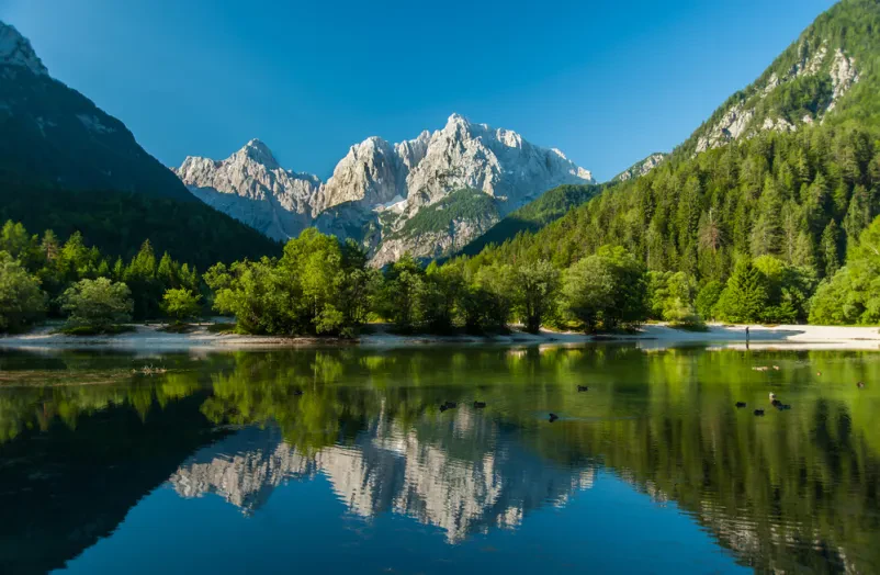 Izleti po Sloveniji z vodičem