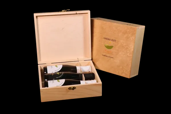 Wine tastings with vineyard and cellar tour Vipava Valley