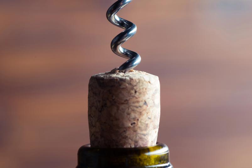 Book a wine cellar and vineyard tour in Vipava Valley with included tastings