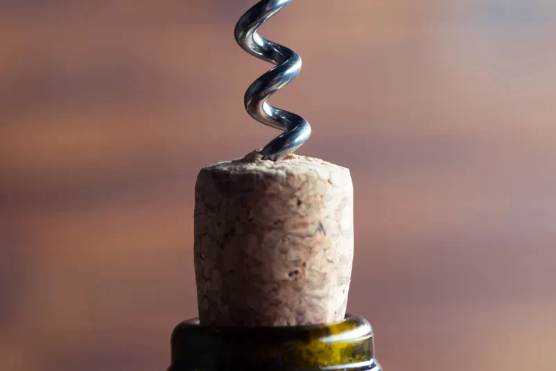 Book a wine cellar and vineyard tour in Vipava Valley with included tastings