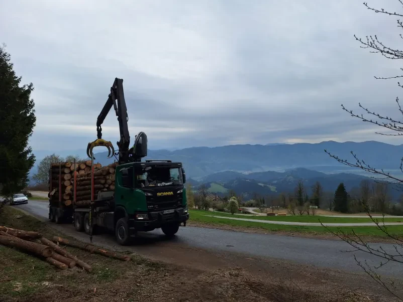 Prevoz lesenih hlodov na tovornjaku. Tovornjak ima roko za nakladanje in razkladanje lesa.