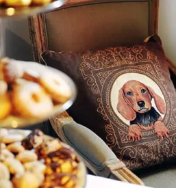 stars hotel in ljubljana