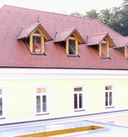 Adaptacija strehe stajerska