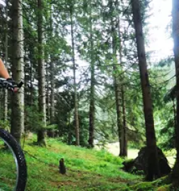 Adrenaline adventure rafting in bled