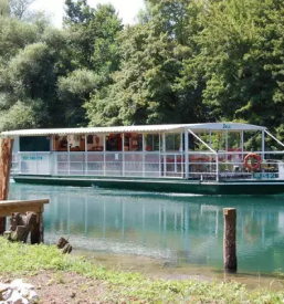 Affordable boat trip on the ljubljanica