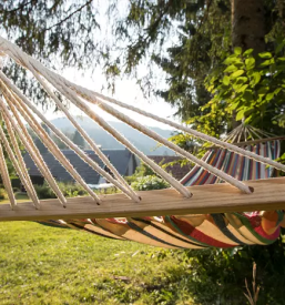 Ajurvedske masaze bohinjsko jezero bohinj gorenjska