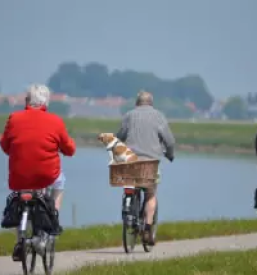 Animacija za upokojence na izletih v beli krajini