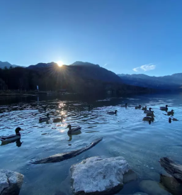 Poceni apartmaji Srednja vas v Bohinju