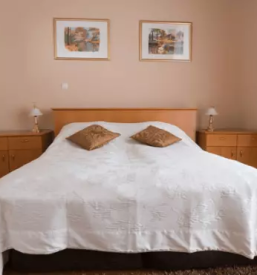 Apartmaji vila golf rogaska slatina