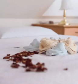 Apartmaji vila golf rogaska slatina