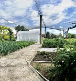 Apartment ptuj podravska