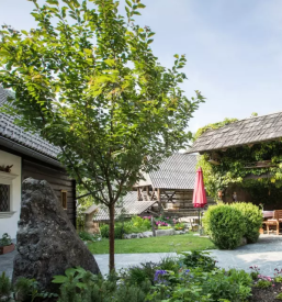 Apartments Katrnjek Studor