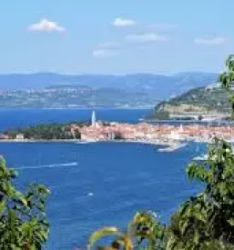 Appartamenti in affitto zona centro di izola isola