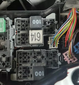 Avtoelektronika Celje, Slovenija