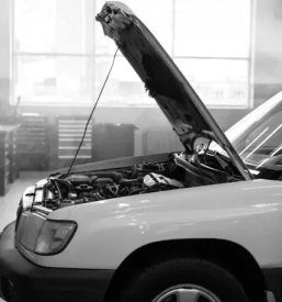 Avtokleparska dela velenje