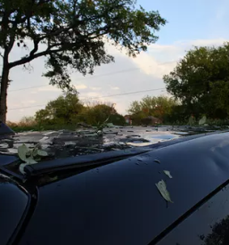 Avtokleparstvo Maribor