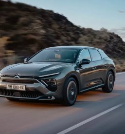 Avtoservis sezana primorska