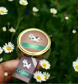 Ayurveda slovenija