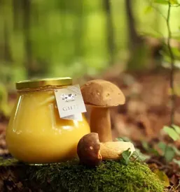 Ayurveda slovenija