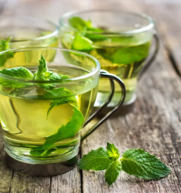 Bachova terapija slovenija