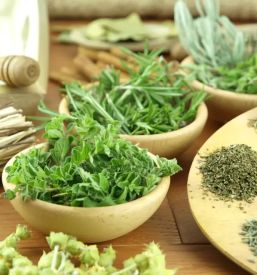 Bachova terapija slovenija