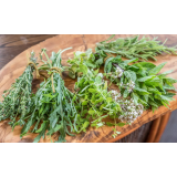 Pivec domačija d.o.o.