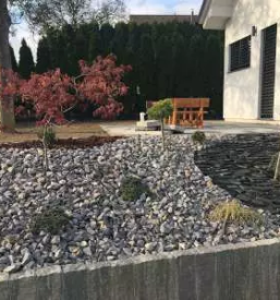 Balkonsko cvetje savinjska